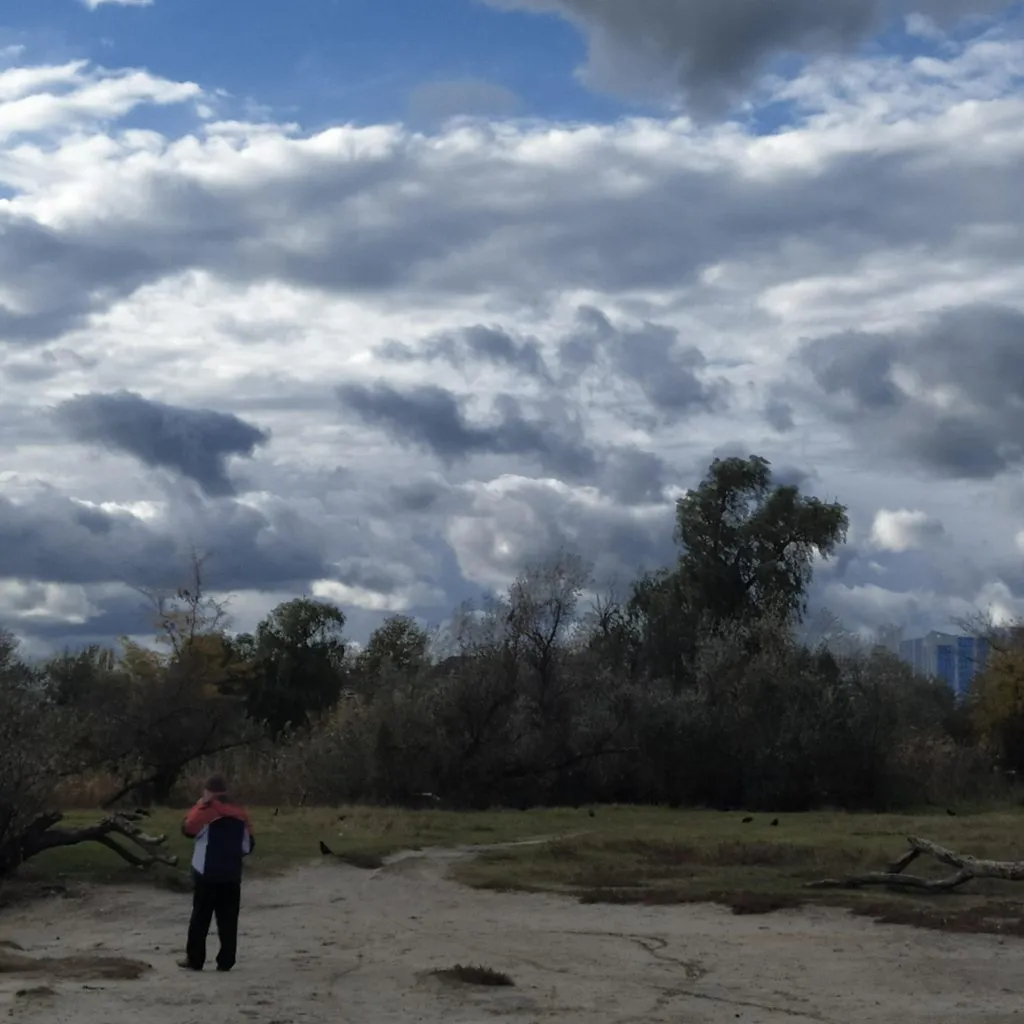 Чайная беседка