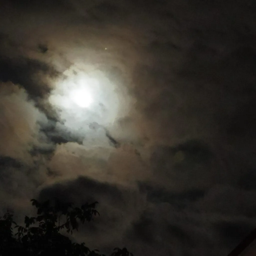 Такое разное небо