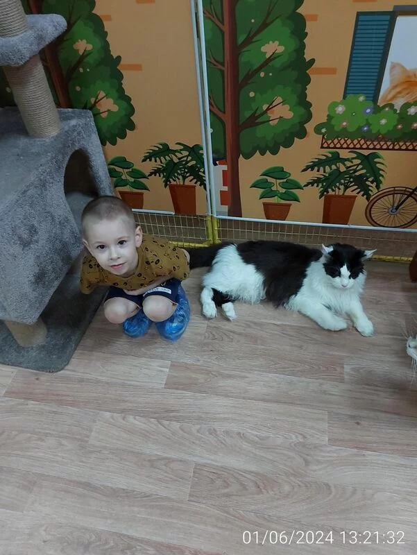 Чайная беседка