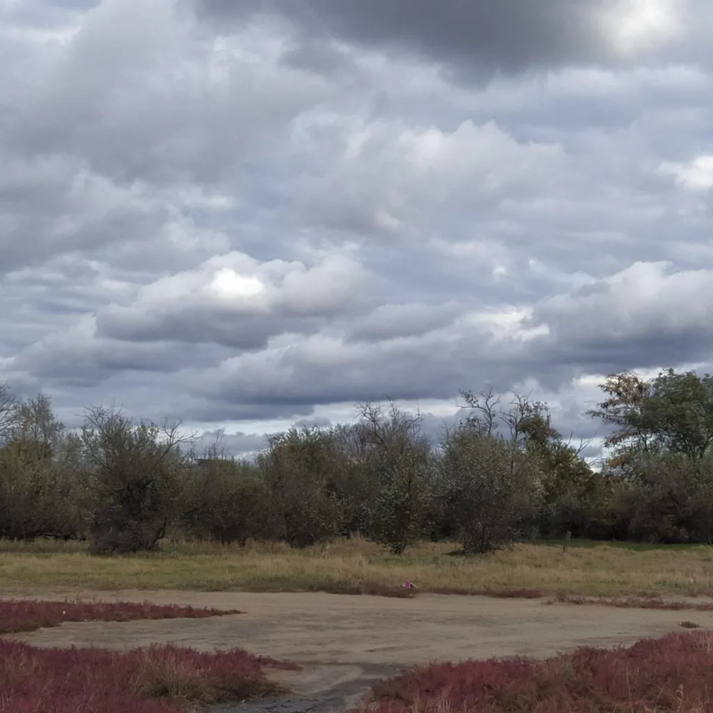 Чайная беседка