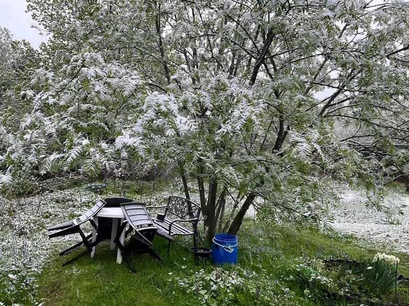 Фотонастроение