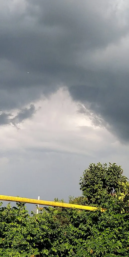 Чайная беседка