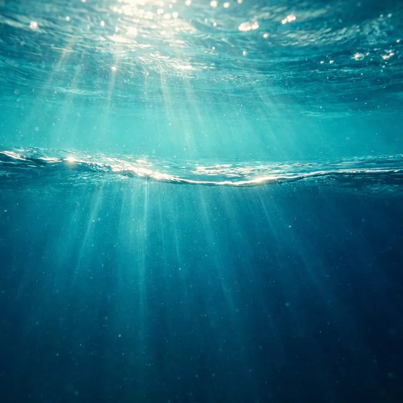 Граница двух морей: что такое эффект галоклина