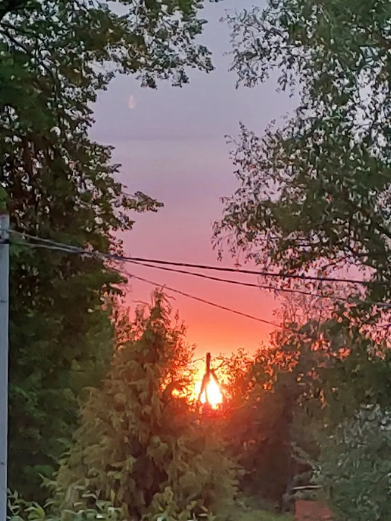 Такое разное небо