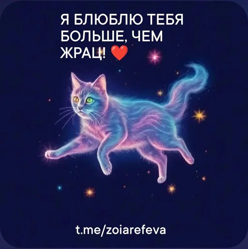 Кошичкина полиция