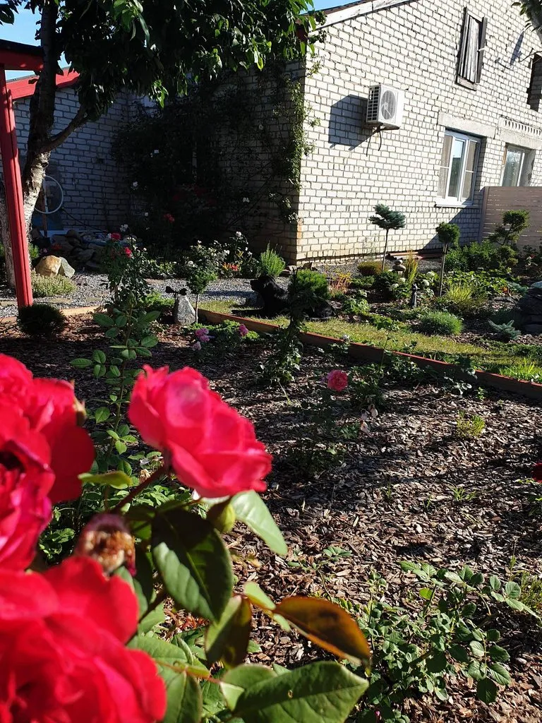 Чайная беседка