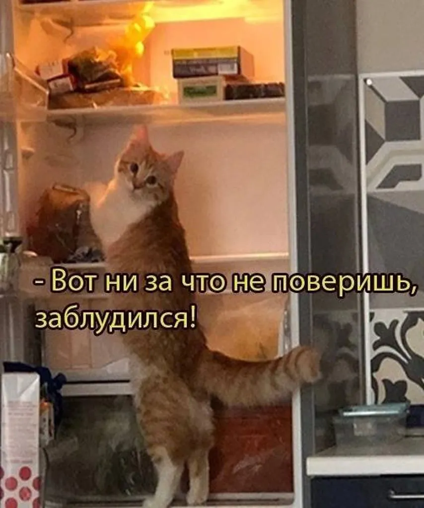 Посмеялся сам - поделись с другом!!!