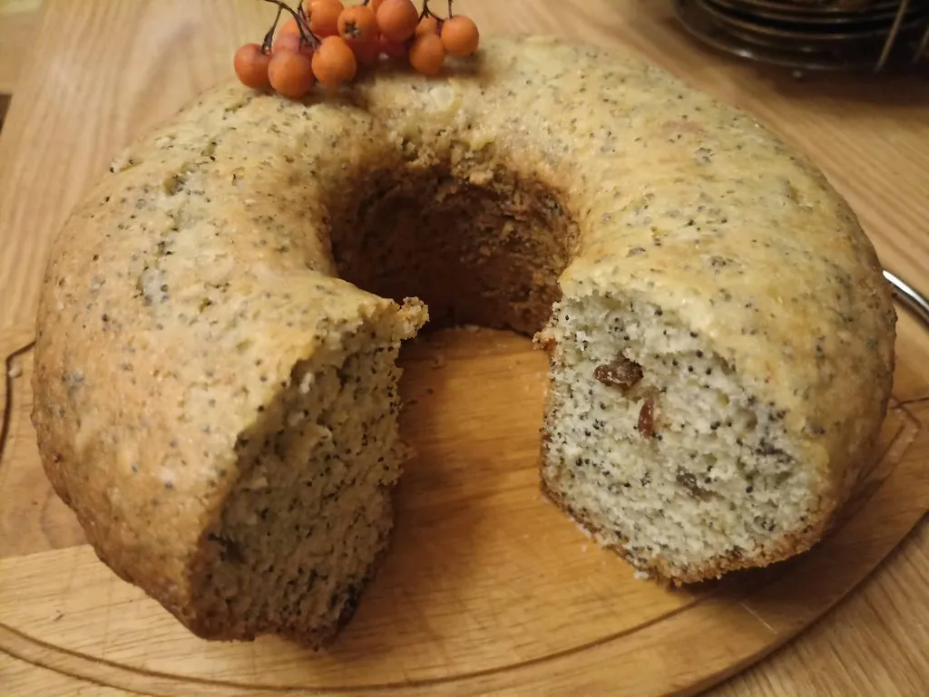 Пирог на кефире с орехами, изюмом и маком