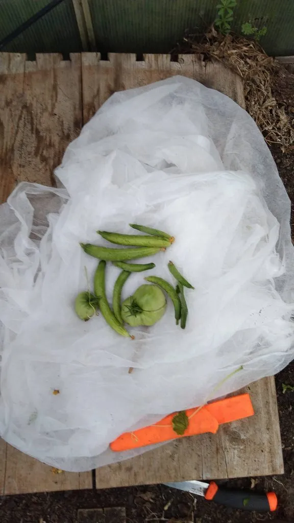 Чайная беседка