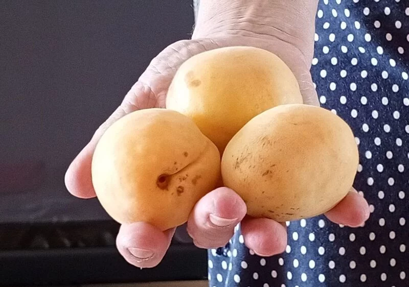 Где, что и когда купить в Москве