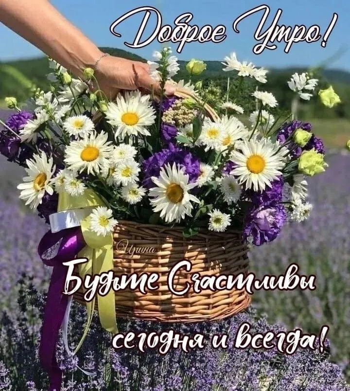 Кафе «У пани Сони»
