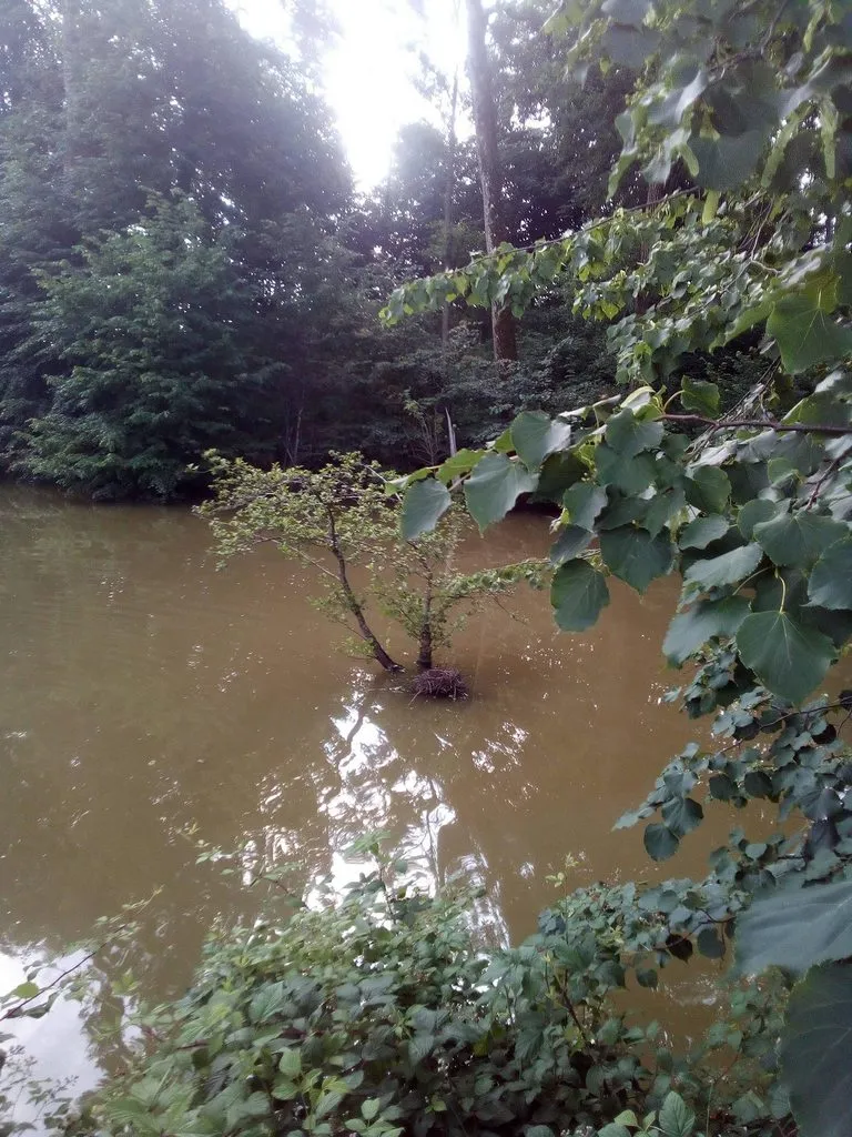 Чайная беседка