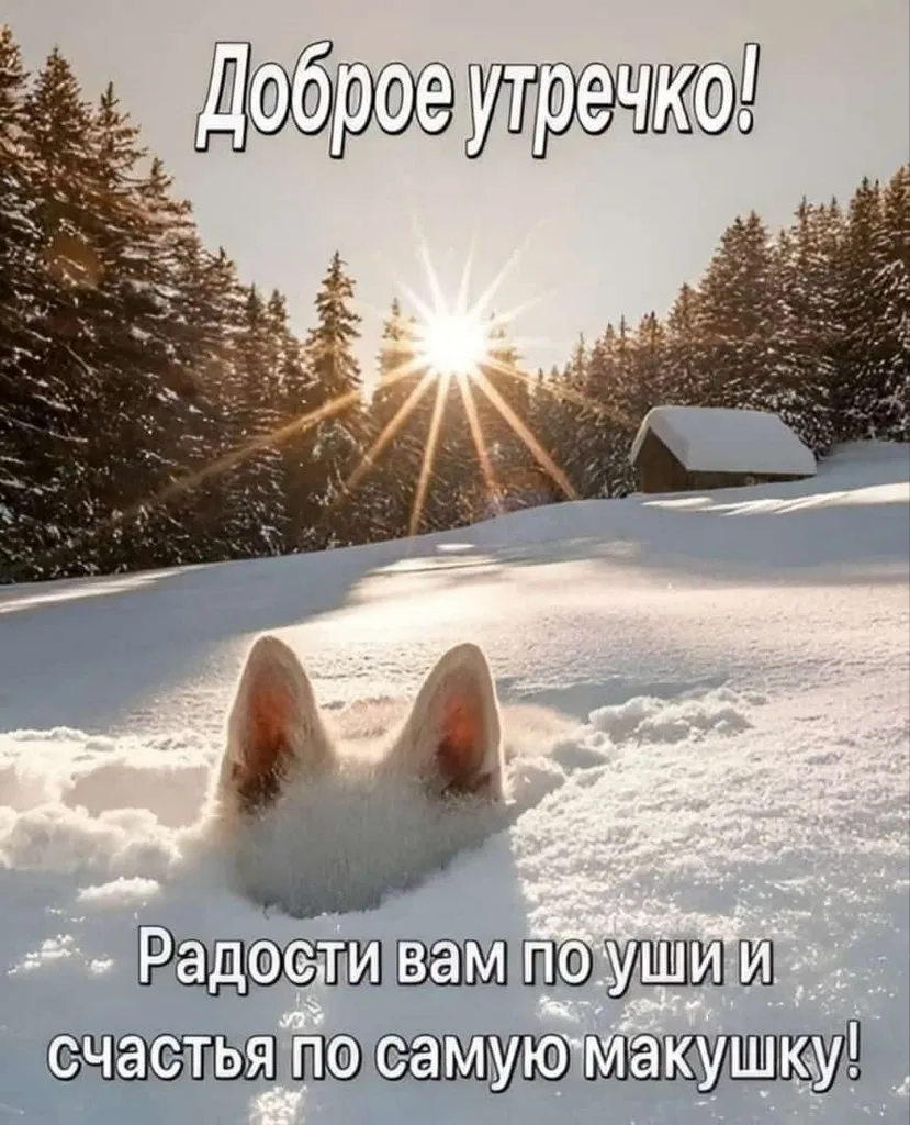 Кафе «У пани Сони»