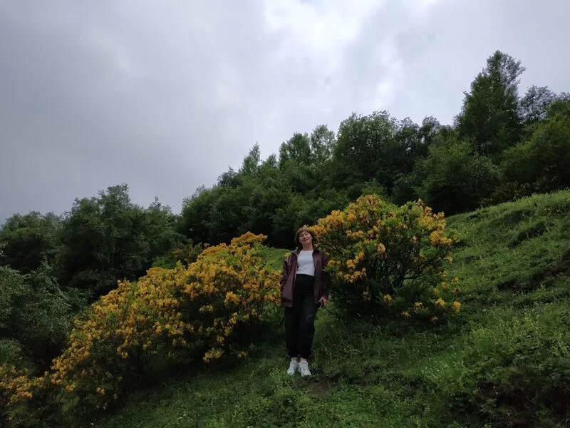 Чайная беседка