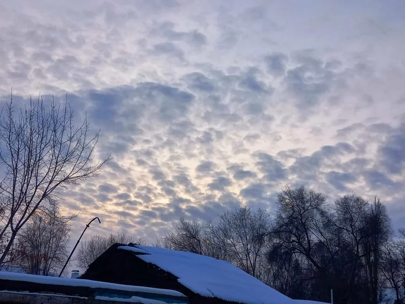 Такое разное небо