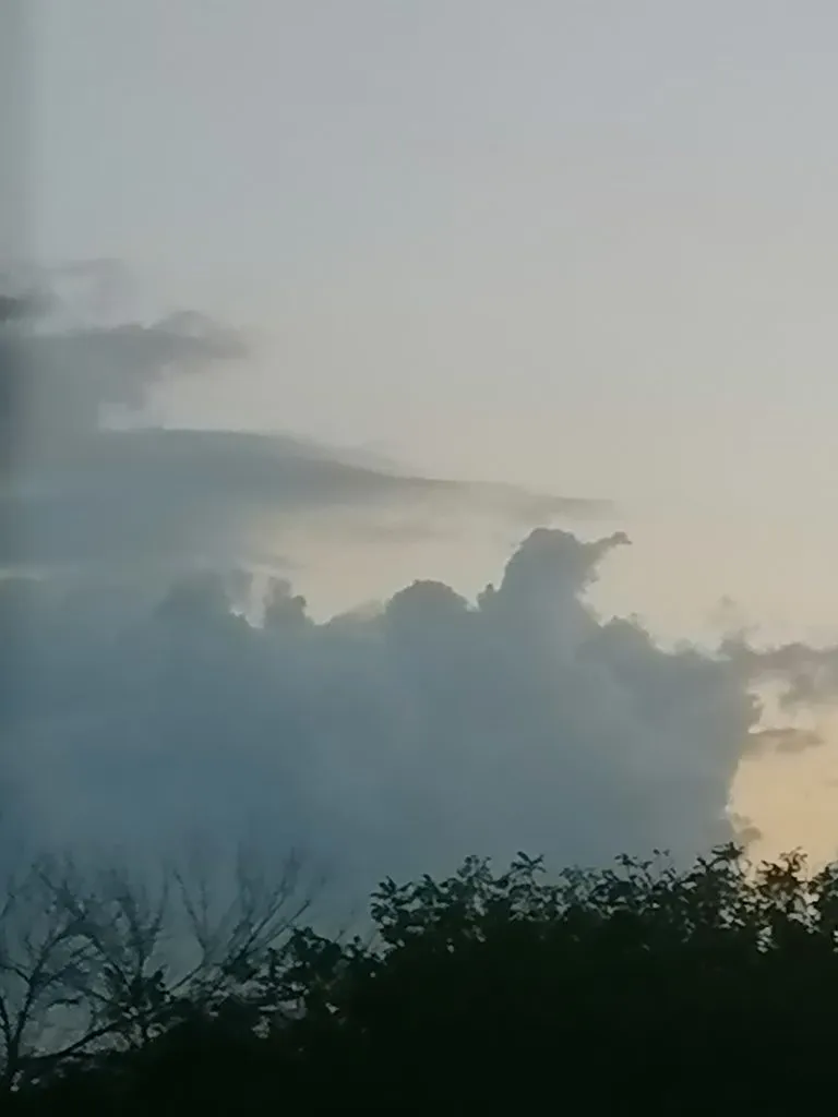 Такое разное небо