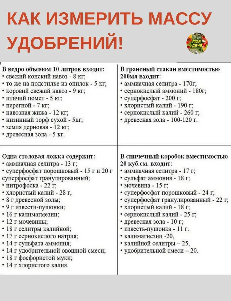 Домашняя инфографика