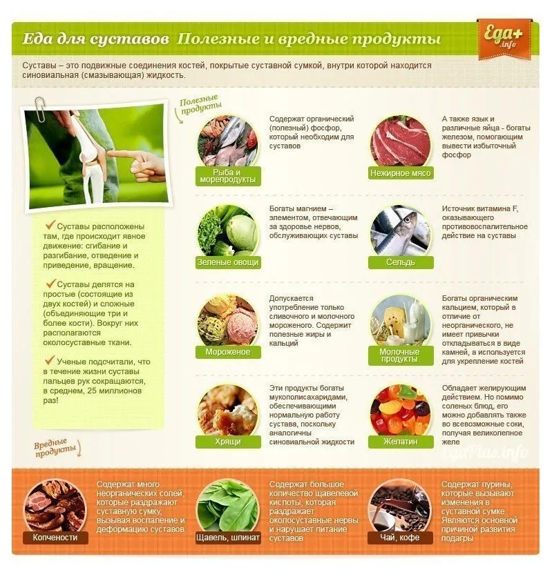 Медицинская инфографика