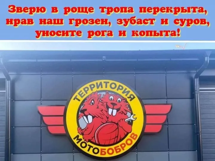 Всюду рифмы