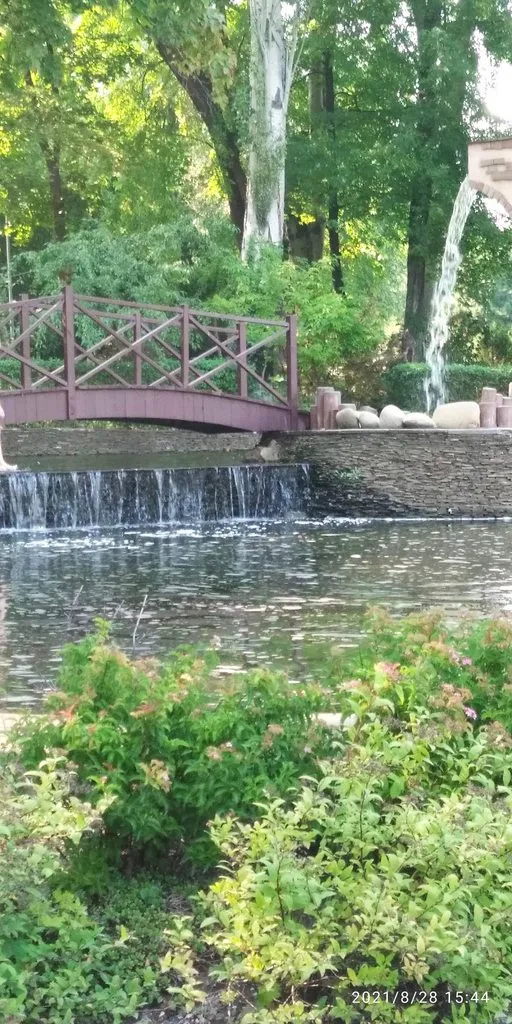 Tapтaлeтки & Ко