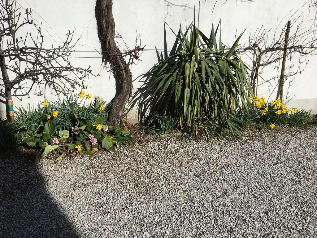 Чайная беседка