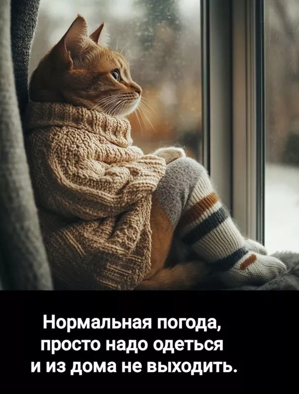 Позитивчик (фото, видео, рассказы для хорошего настроения)
