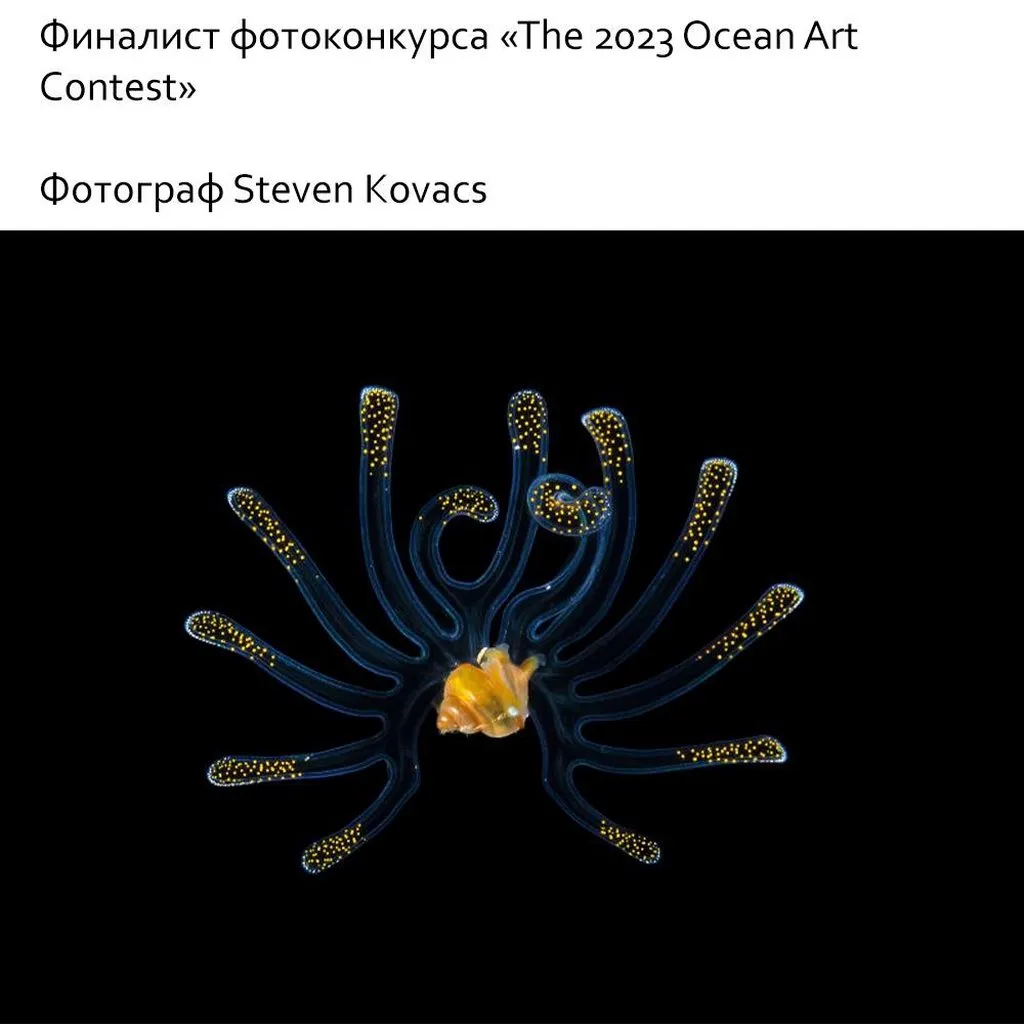 Это интересно!