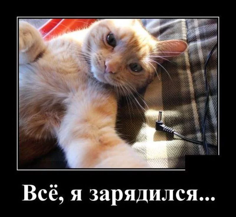 Посмеялся сам - поделись с другом!!!