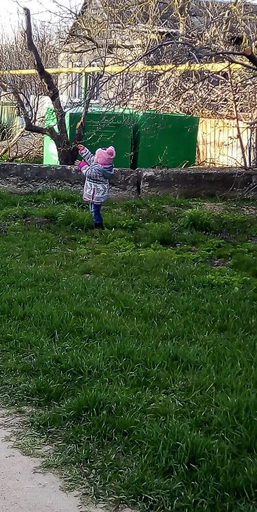 Чайная беседка