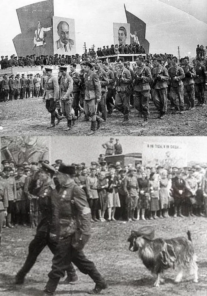 Запечатленная история
