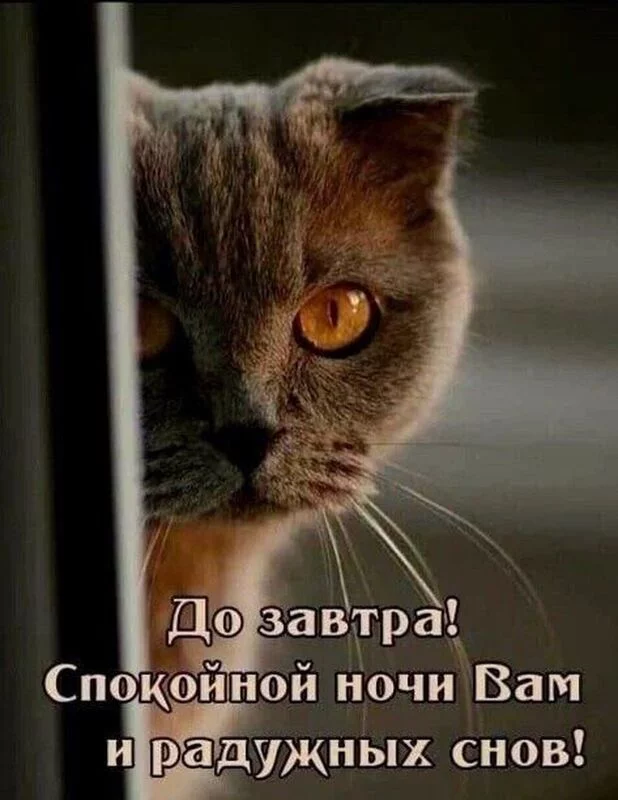 Кафе "У пани Сони"