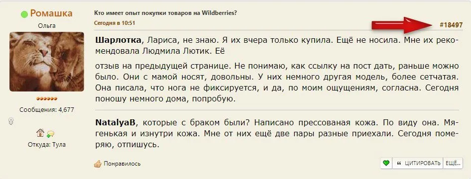 Кто имеет опыт покупки товаров на Wildberries?
