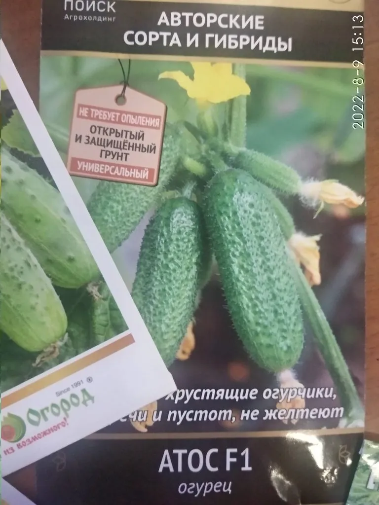 Сажаем, растим, собираем урожай…