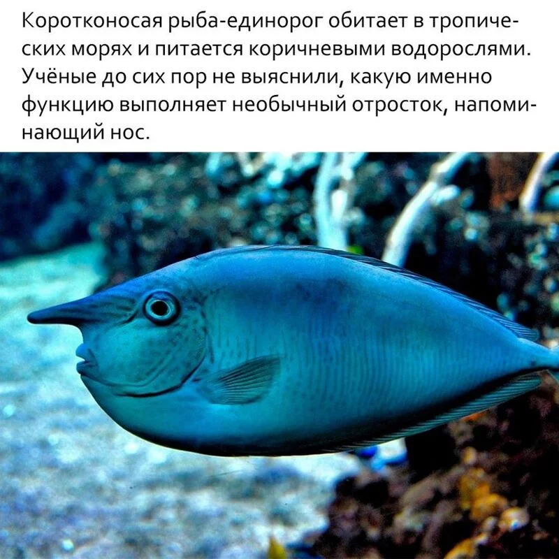 Это интересно!