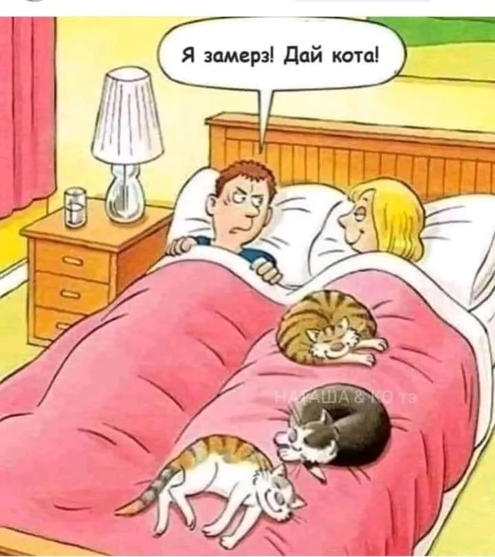 Посмеялся сам - поделись с другом!!!