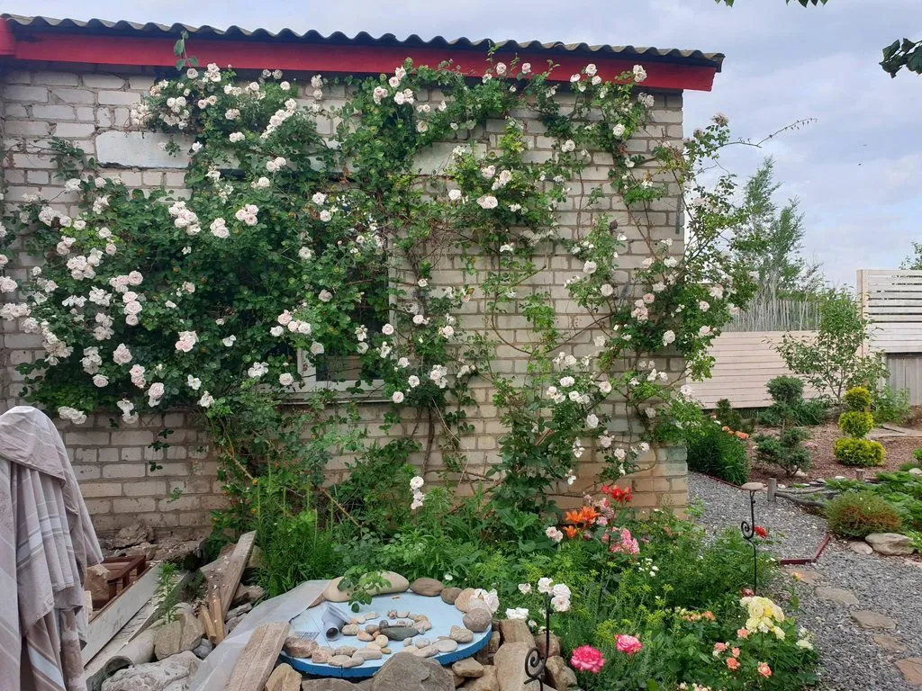 Чайная беседка