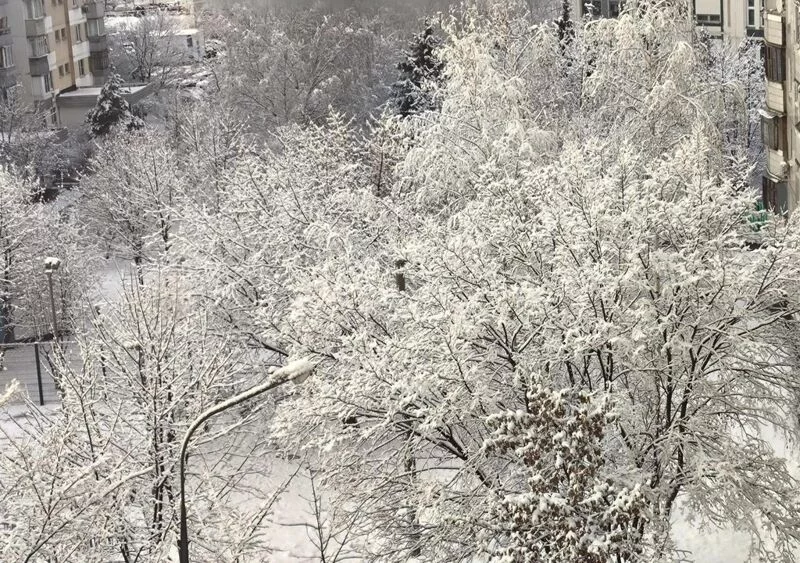 Чайная беседка