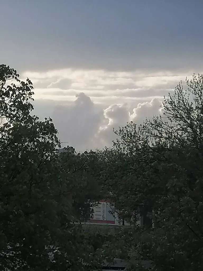 Такое разное небо