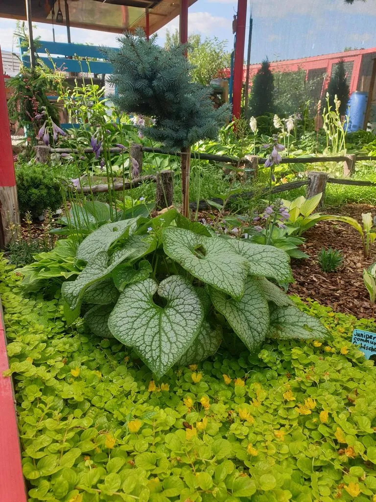 Чайная беседка