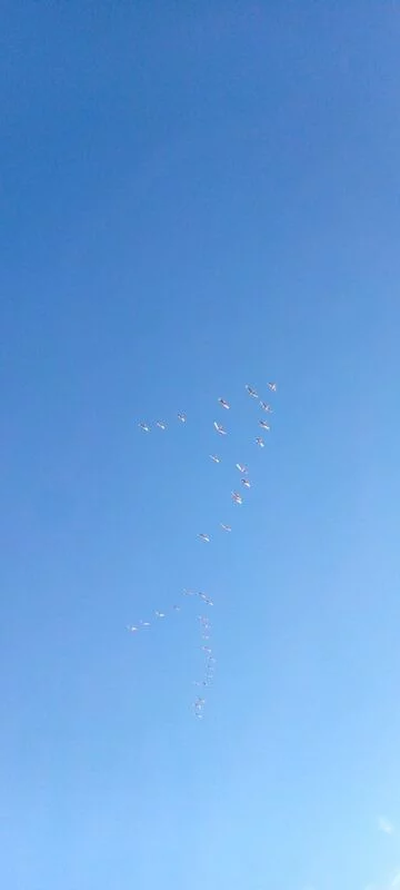 Такое разное небо