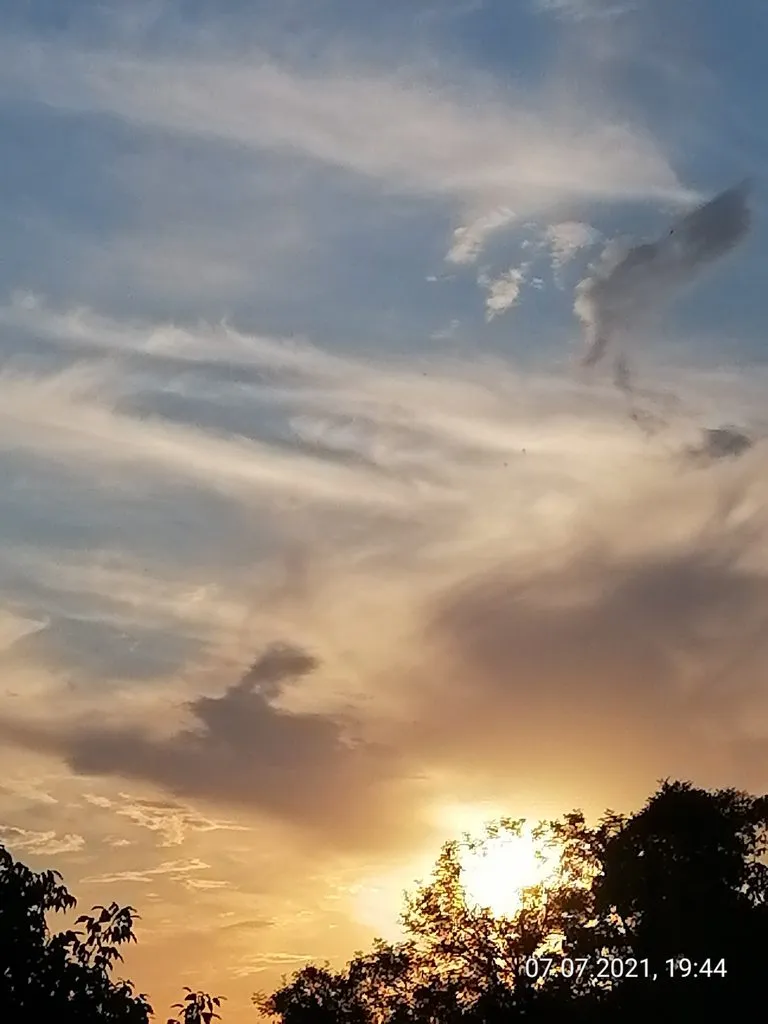 Чайная беседка