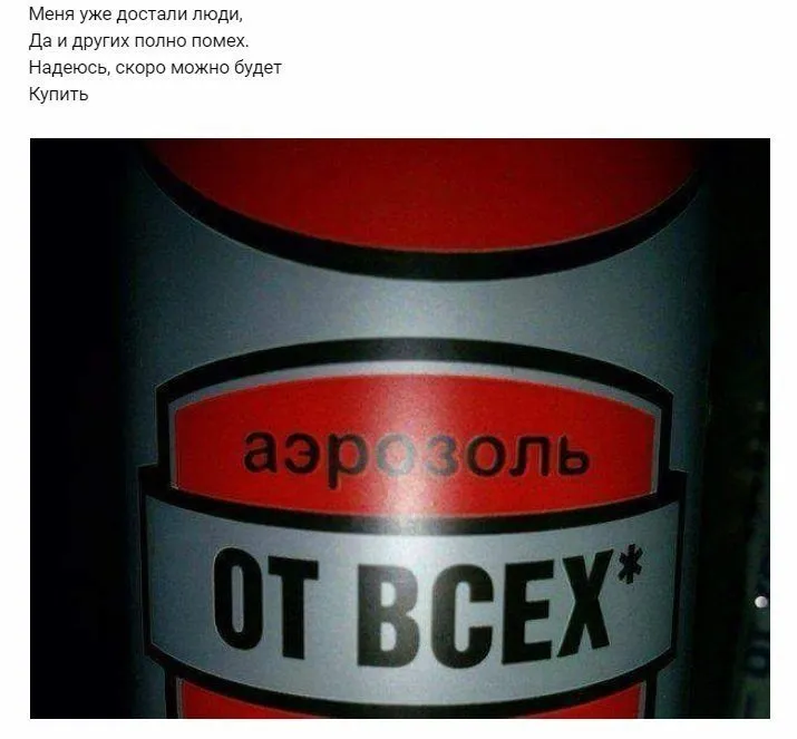 Всюду рифмы