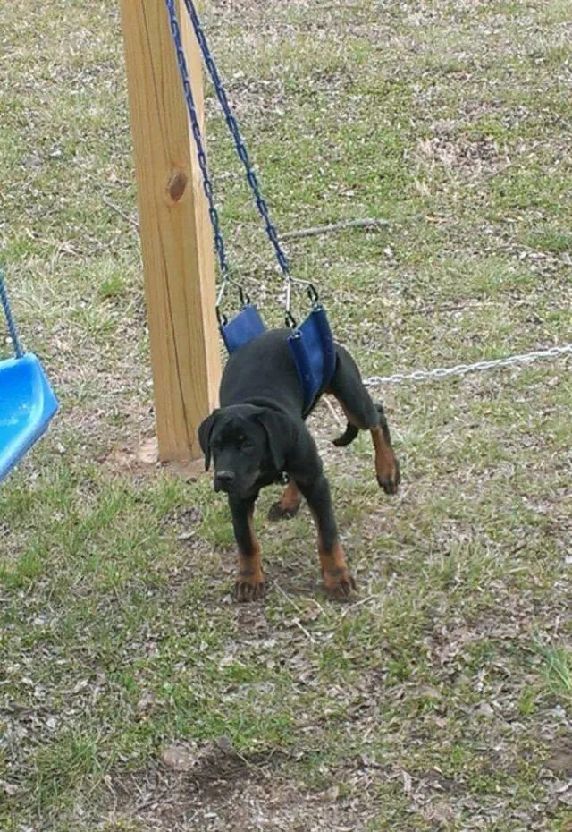 Посмеялся сам - поделись с другом!!!