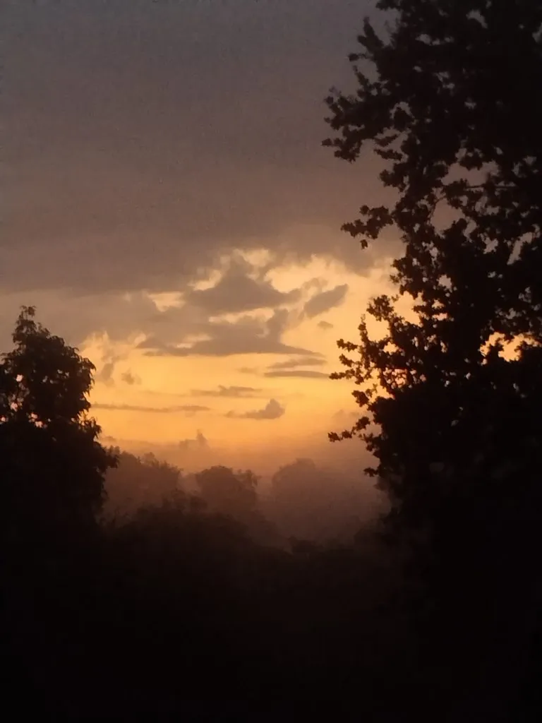 Чайная беседка