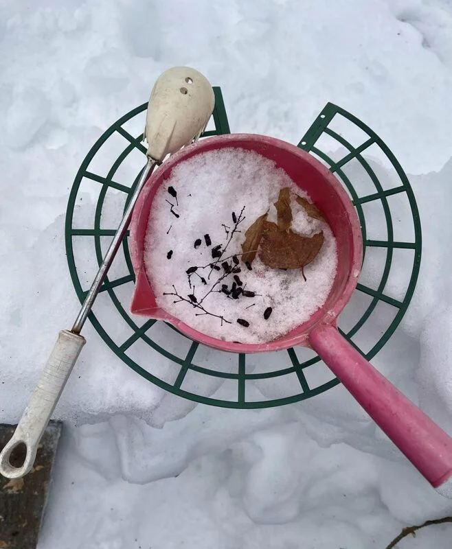 Фотонастроение