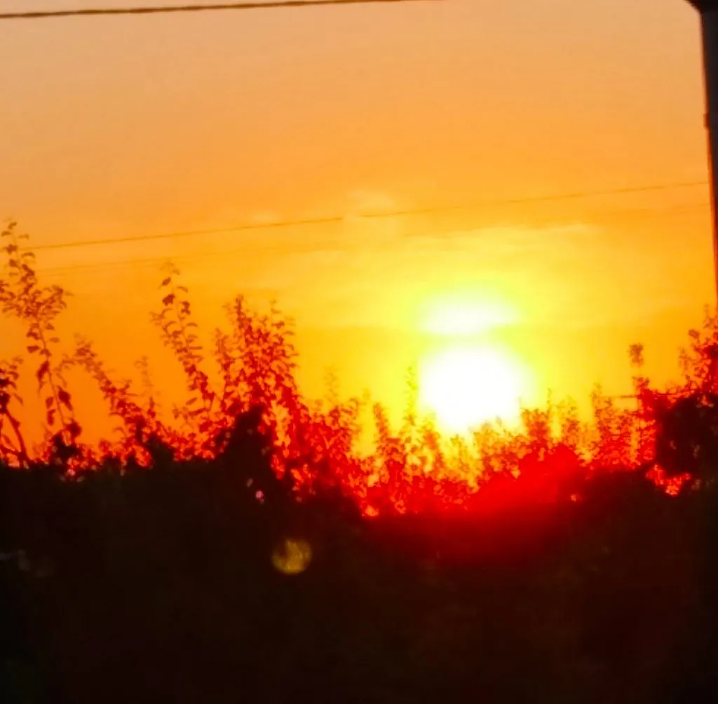 Чайная беседка