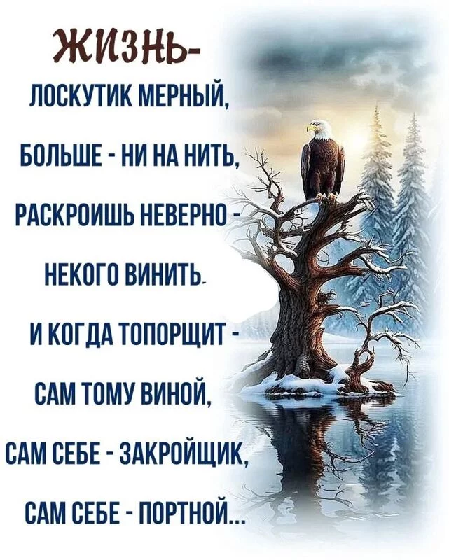 Позитивчик (фото, видео, рассказы для хорошего настроения)
