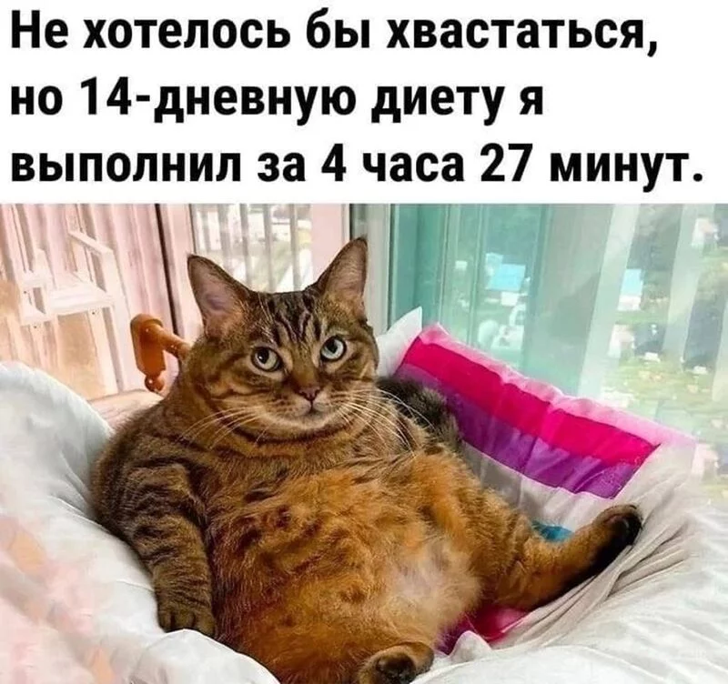 Посмеялся сам - поделись с другом!!!