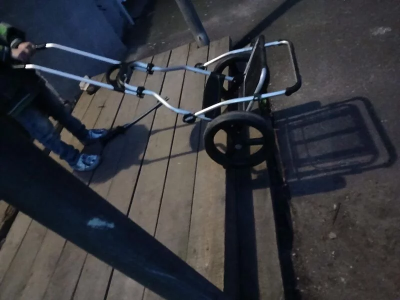 Хозяйственные сумки-тележки