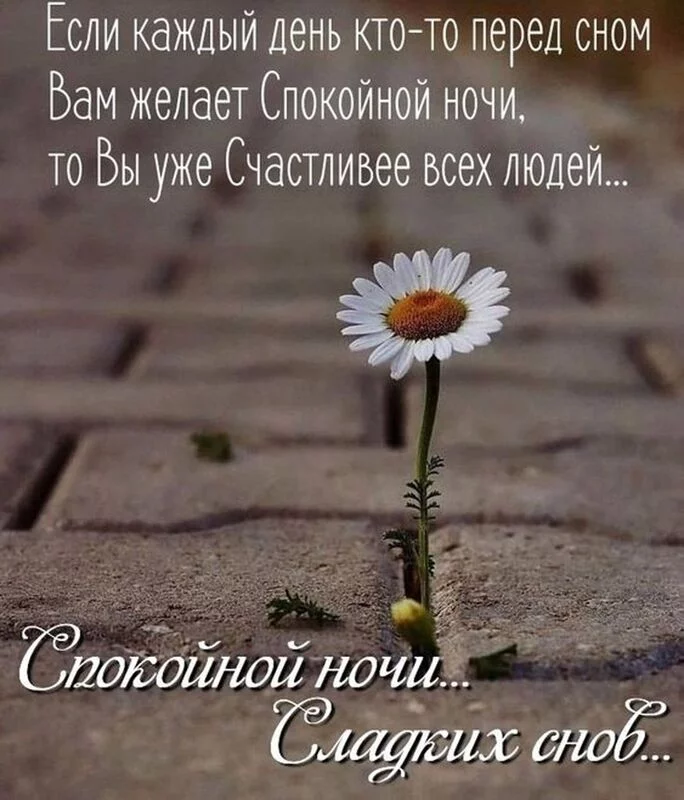 Позитивчик (фото, видео, рассказы для хорошего настроения)